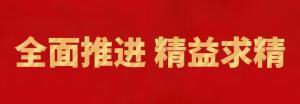 履踐致遠向未來 | 洛陽正大精英特訓營“磐石計劃”精益生產項目召開復盤追蹤會